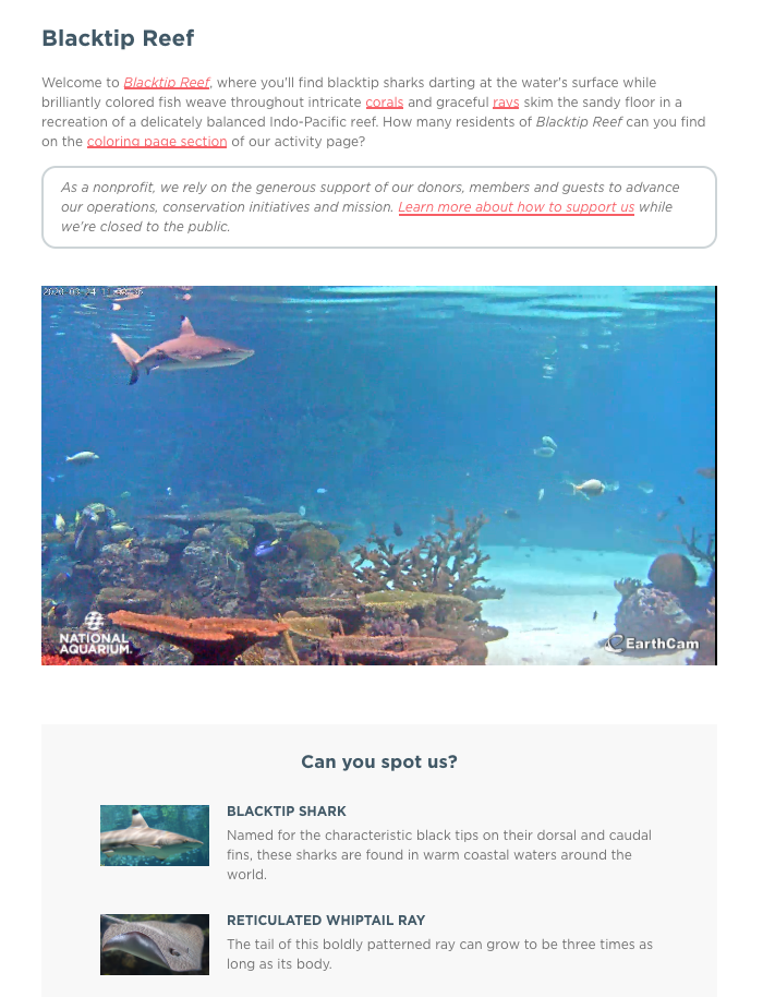 These 4 leisure venues are facing COVID19 creatively